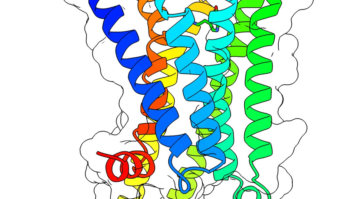Computational protein-structure model — the substrate of AI-driven peptide design; a PeptideAI brief by Panacea Bio Chem and Bogdan Dicoias
